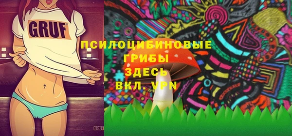 mdpv Богданович