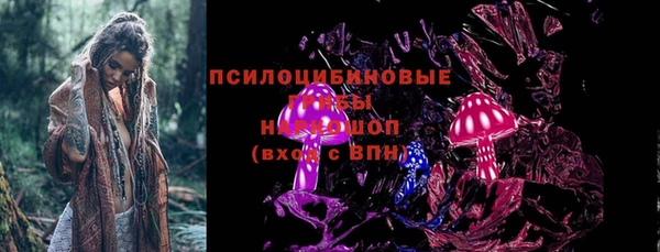 mdpv Богданович