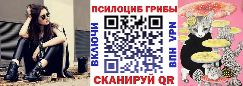 shop как зайти  Мирный  Псилоцибиновые грибы GOLDEN TEACHER 